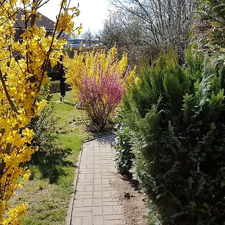 Apartman Holm Ostseebad Kühlungsborn